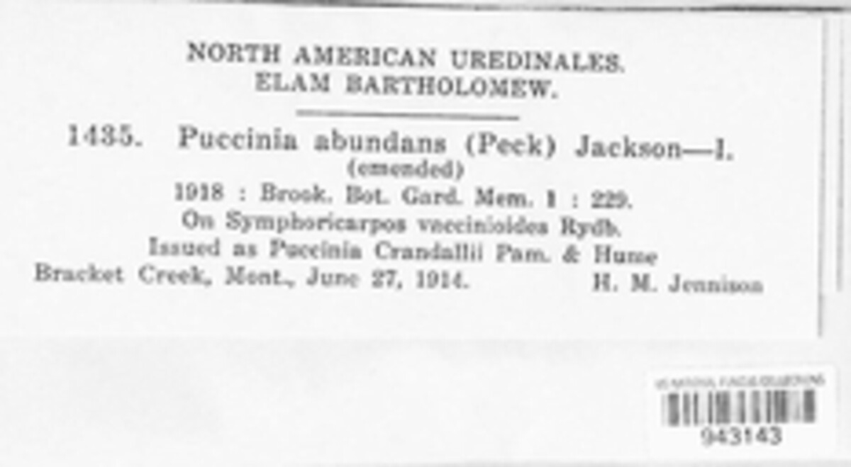 Puccinia abundans image